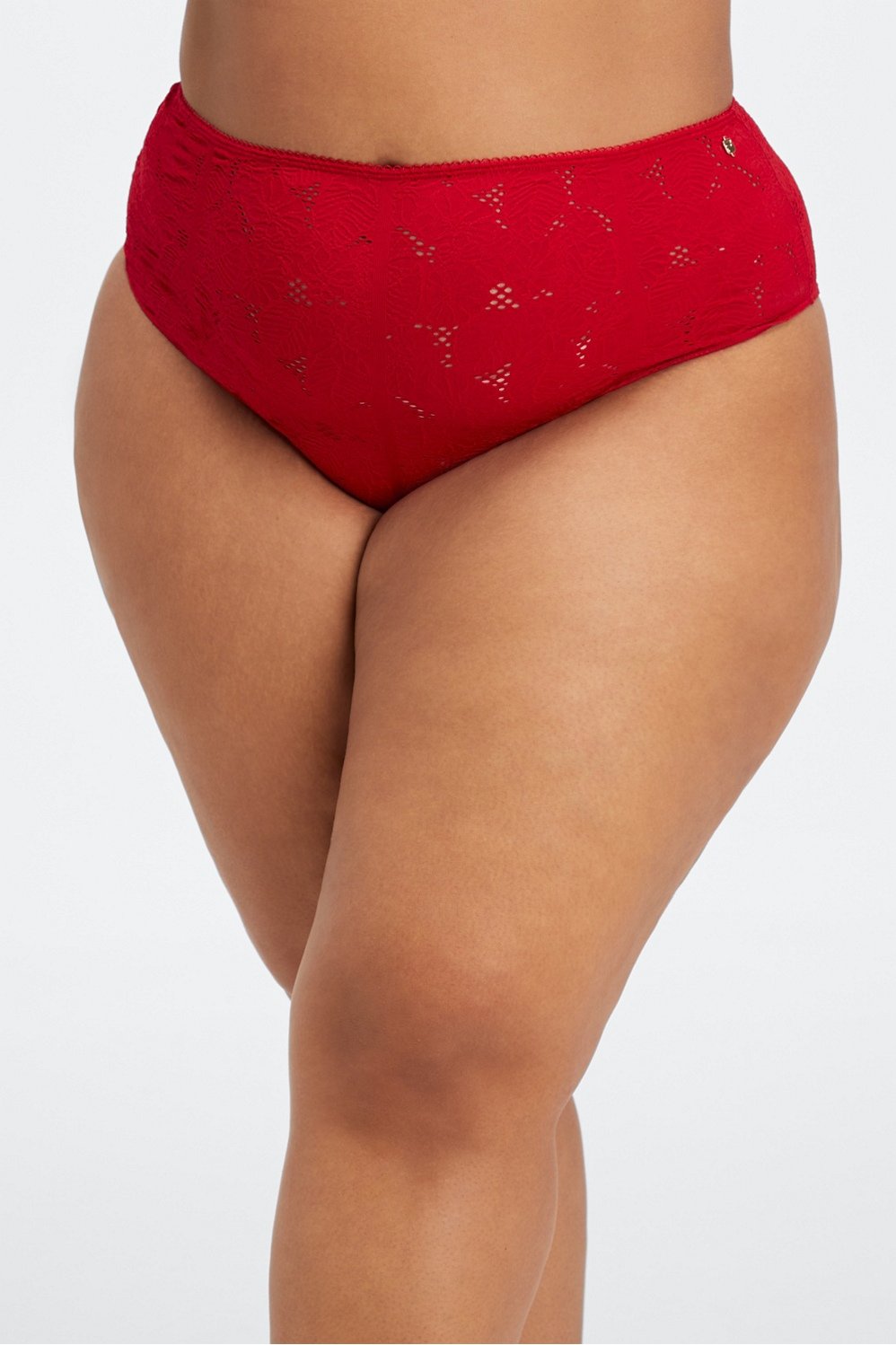 Seamless Lace Cheeky Brief - Fabletics